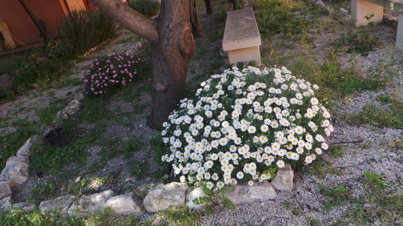 Bed and Breakfast Oasi Ottocento Quartu SantʼElena Esterno foto
